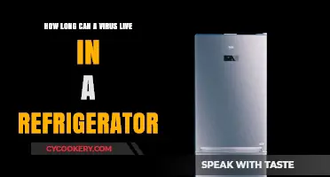 How Long Do Viruses Survive in Refrigerator Conditions?