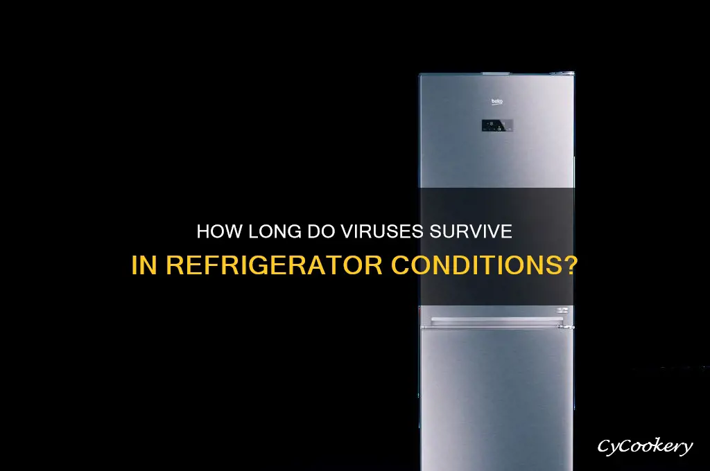 how long can a virus live in a refrigerator