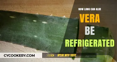 Refrigerating Aloe Vera: Optimal Storage Duration for Freshness and Benefits