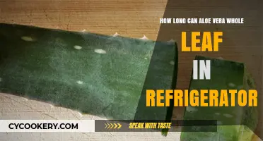 Storing Aloe Vera Whole Leaf: Refrigerator Shelf Life Explained