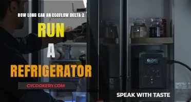 EcoFlow Delta 2: Refrigerator Runtime and Efficiency Explained