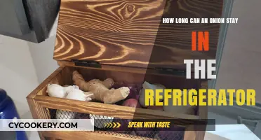 Onion Storage Tips: How Long Can Onions Last in the Fridge?