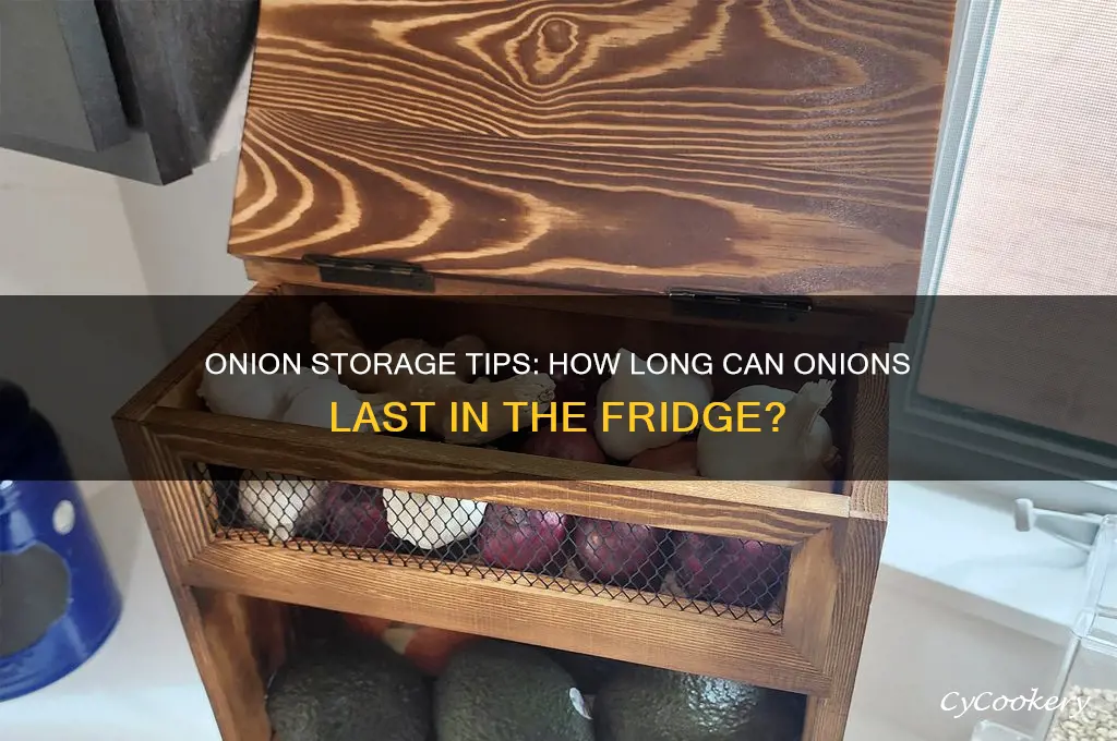 how long can an onion stay in the refrigerator