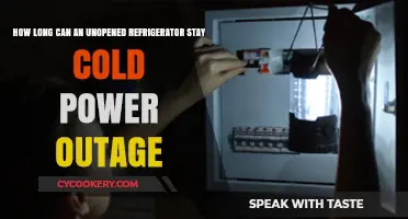 Unopened Fridge Survival: How Long Stays Cold Without Power?