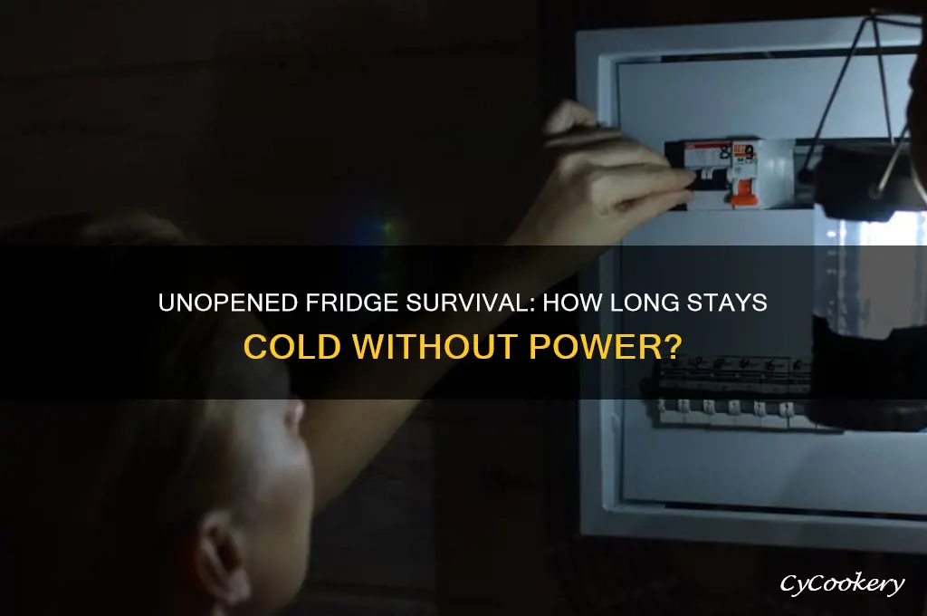 how long can an unopened refrigerator stay cold power outage