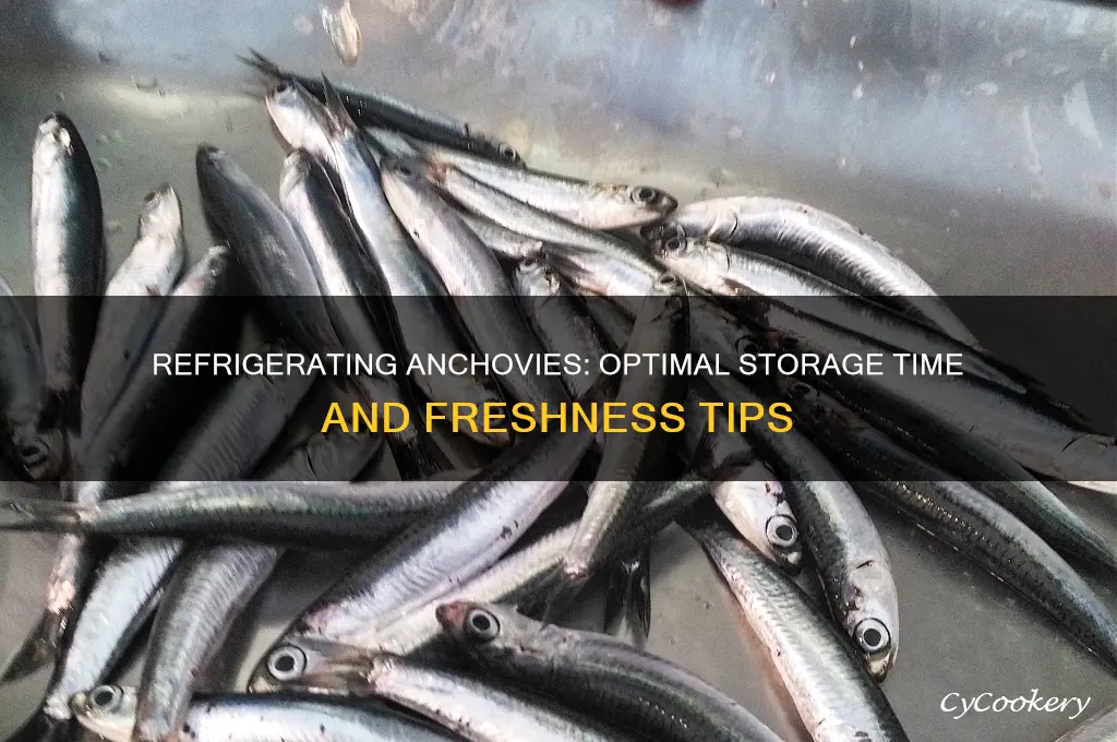 how long can anchovies be refrigerated