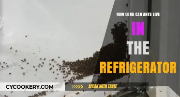 Ants in the Fridge: Survival Duration and Prevention Tips