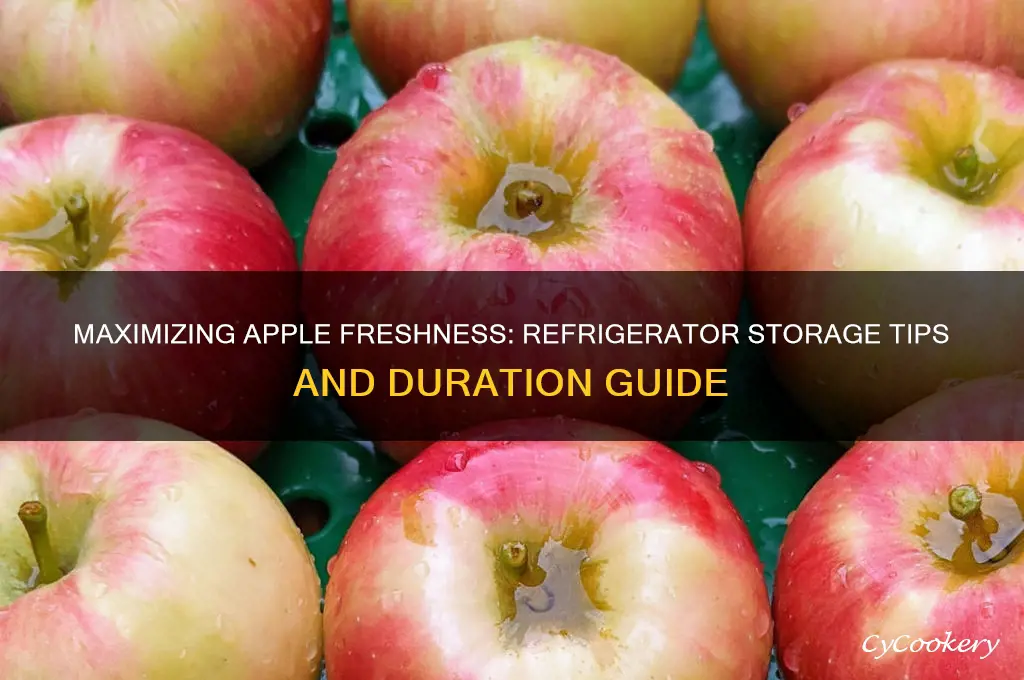 how long can apples be stored in a refrigerator