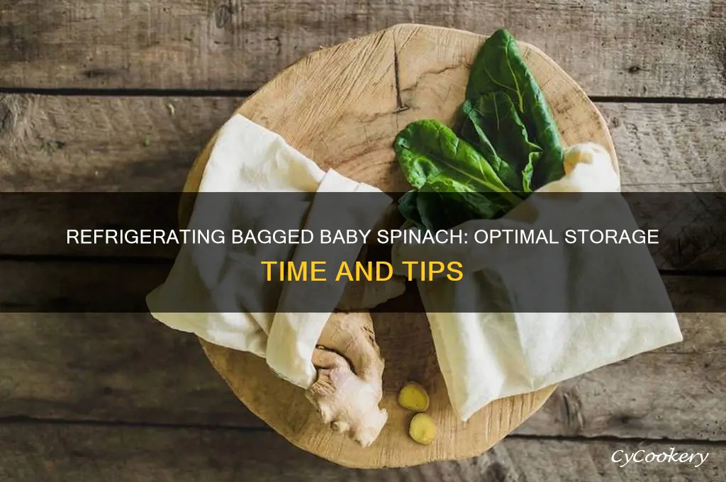 how long can bagged baby spinach be refrigerated