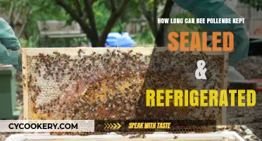 Maximizing Bee Pollen Shelf Life: Sealed and Refrigerated Storage Tips