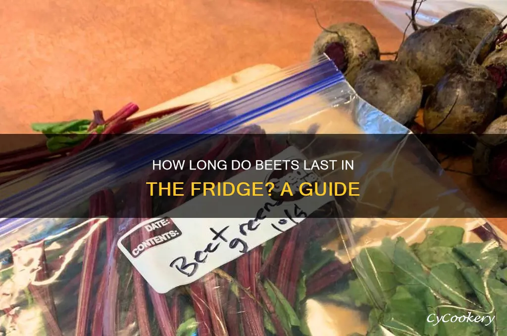 how long can beets stay in the refrigerator