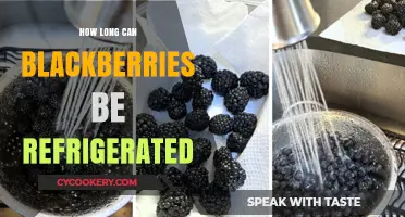Maximizing Blackberry Freshness: Refrigeration Tips and Storage Duration