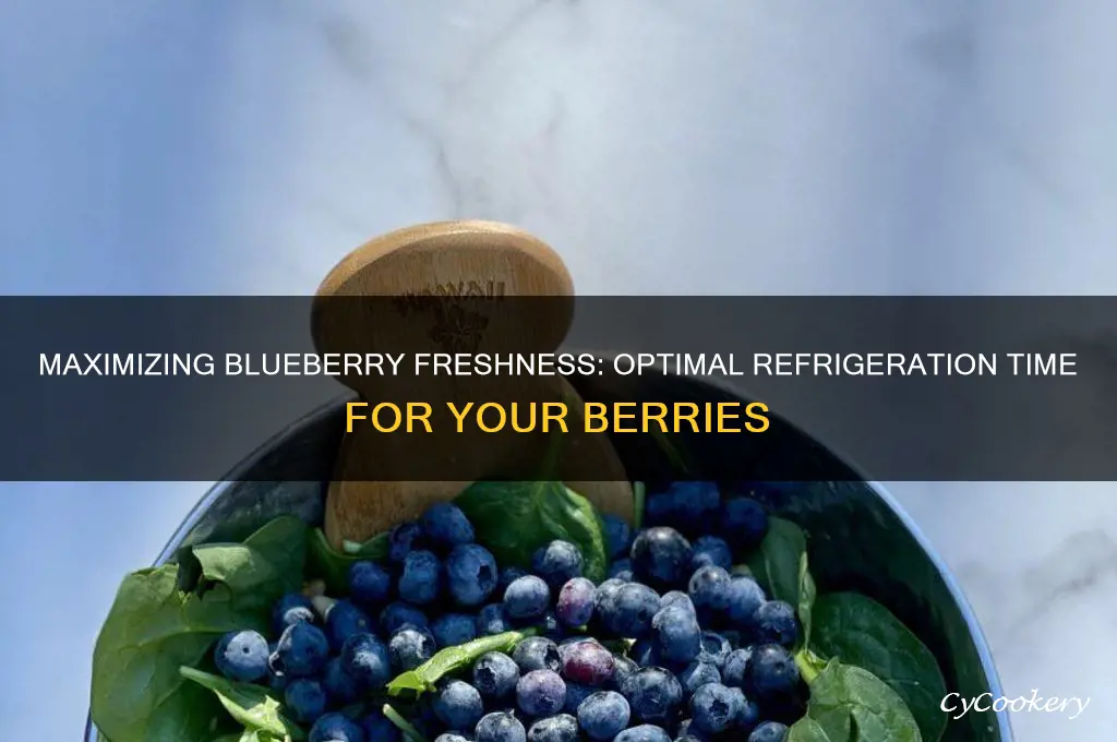 how long can blueberries be refrigerated