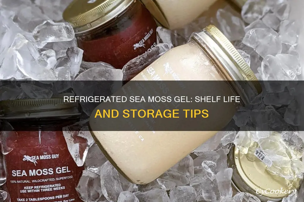 how long can boil sea moss stay refrigerated