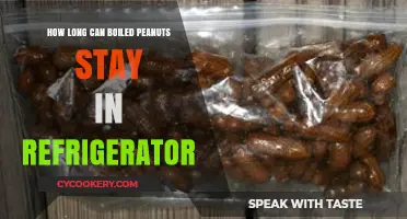 Refrigerated Boiled Peanuts: Shelf Life and Storage Tips