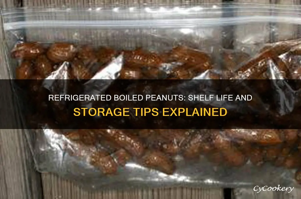 how long can boiled peanuts stay in the refrigerator