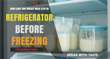 Breast Milk Storage: Refrigerator Shelf Life Before Freezing Explained