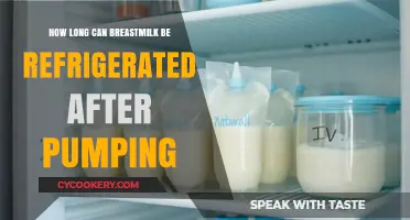 Refrigerating Breastmilk: Safe Storage Duration After Pumping Explained