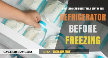 Breastmilk Storage Guide: Refrigerator Shelf Life Before Freezing