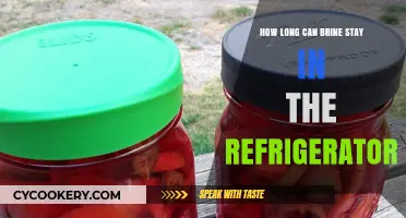 Refrigerated Brine Storage: How Long Can It Safely Last?