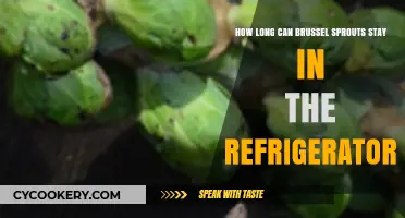Maximizing Freshness: Refrigerator Storage Tips for Brussel Sprouts