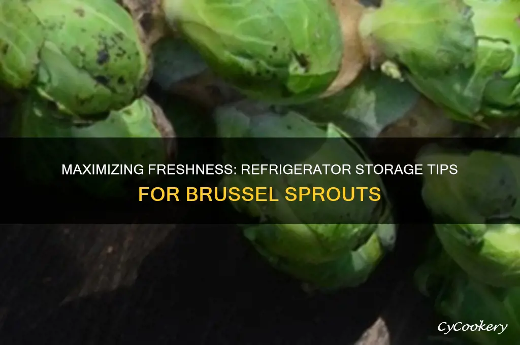 how long can brussel sprouts stay in the refrigerator