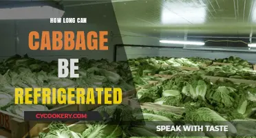 Refrigerating Cabbage: Optimal Storage Time and Freshness Tips