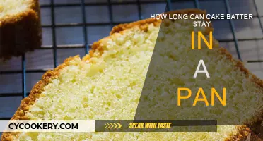 The Best Time to Bake: Cake Batter's Pan Life