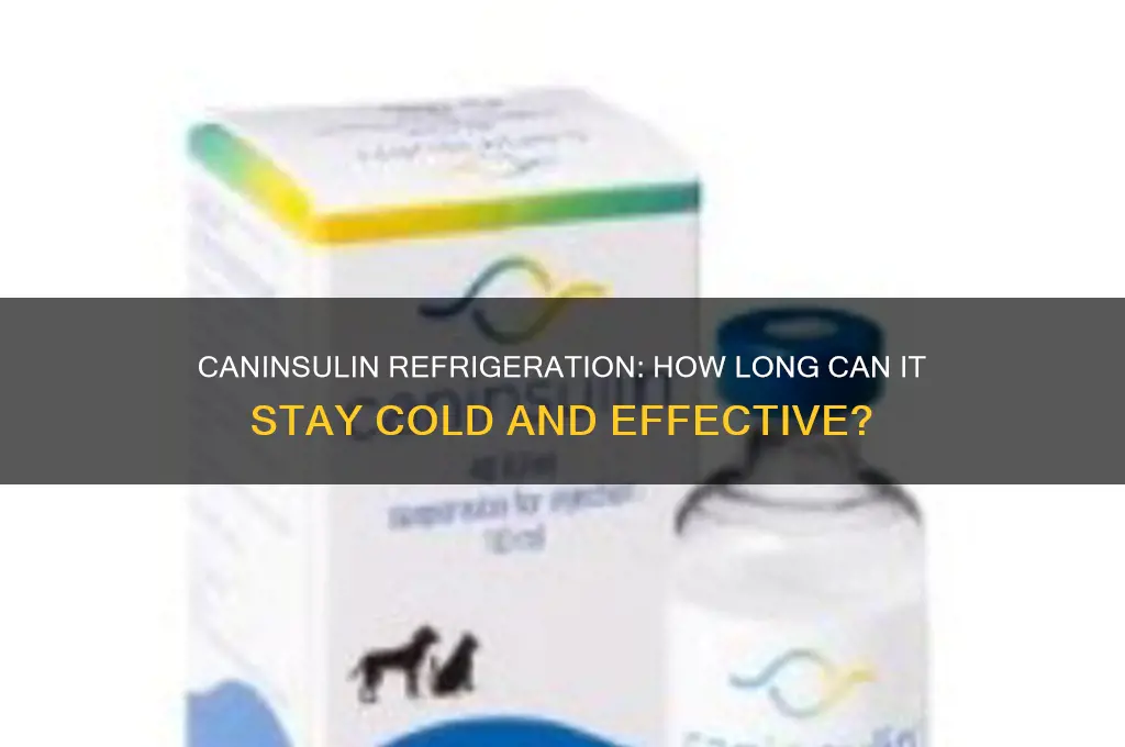 how long can caninsulin be refrigerated