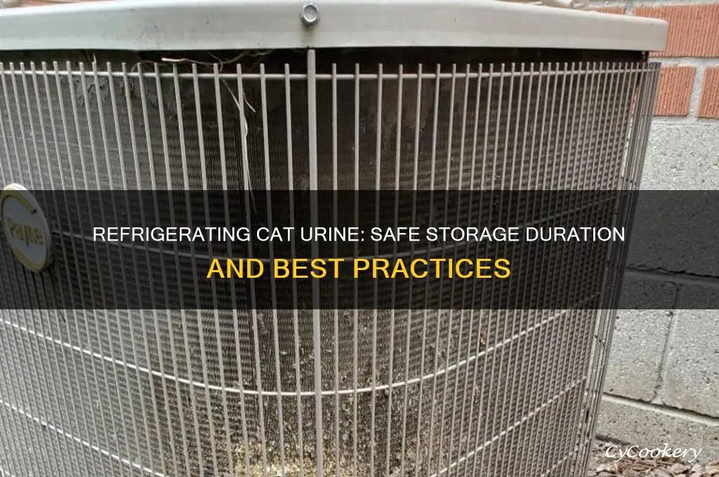 how long can cat urine be refrigerated