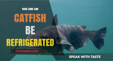 Refrigerating Catfish: Optimal Storage Time and Freshness Tips