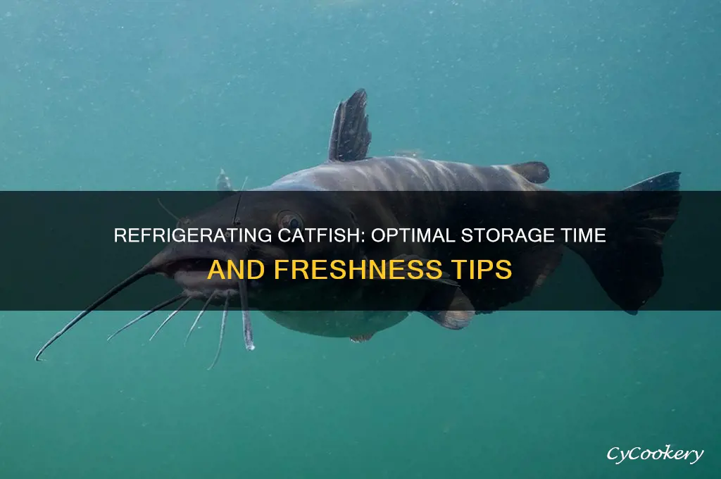 how long can catfish be refrigerated