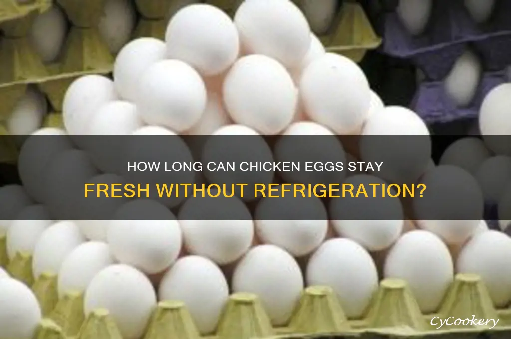 how long can chicken eggs go without refrigeration