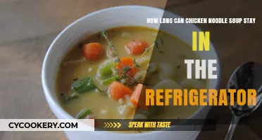 Chicken Noodle Soup Shelf Life: Refrigerator Storage Tips and Duration