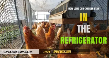 Refrigerated Chicken Lifespan: Safe Storage Tips and Guidelines