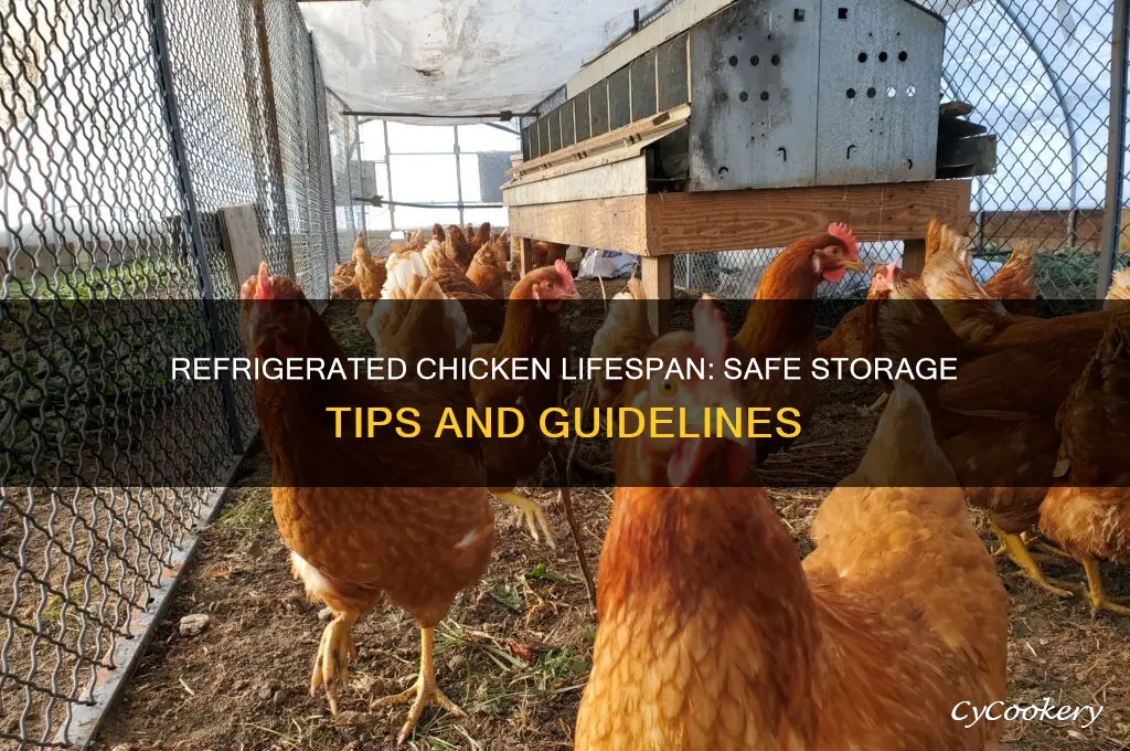 how long can chicken stay in the refrigerator