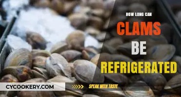 Refrigerating Clams: Optimal Storage Time and Freshness Tips