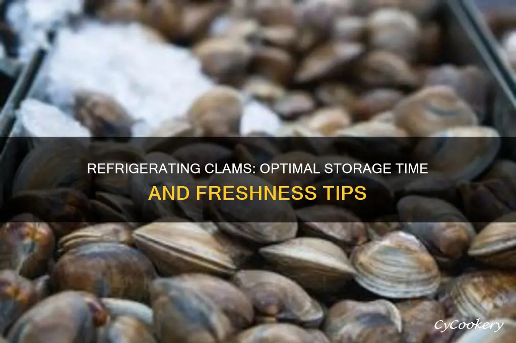 how long can clams be refrigerated