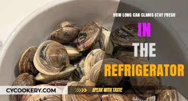 Clams in the Fridge: How Long Do They Stay Fresh?