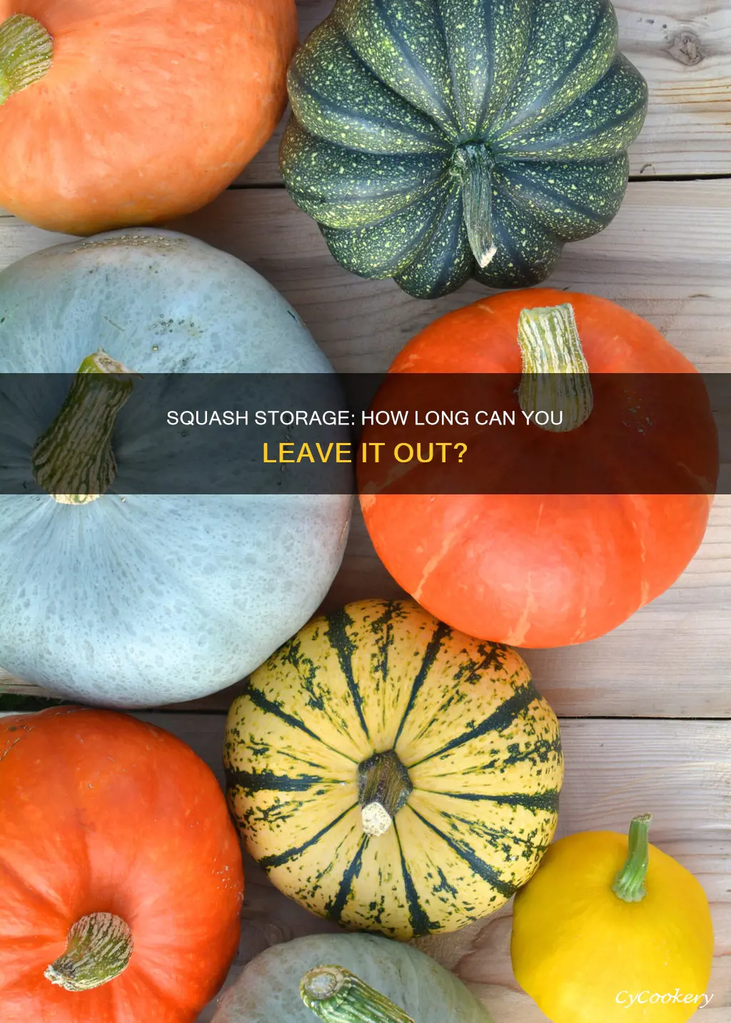 how long can cold squash sit in pan before heating