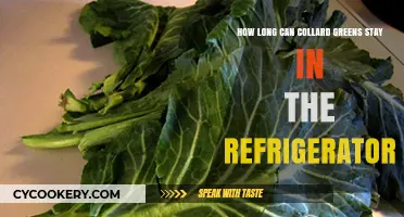 Storing Collard Greens: Refrigerator Shelf Life and Freshness Tips