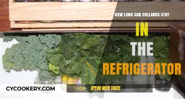 Maximizing Freshness: Collard Greens' Refrigerator Shelf Life Explained