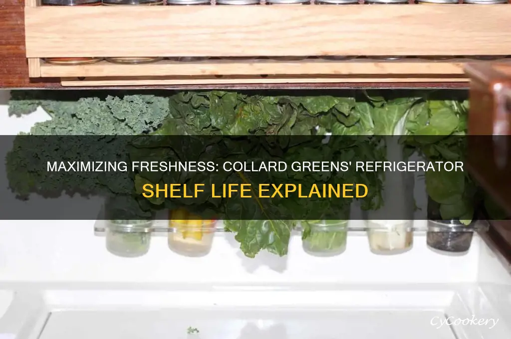 how long can collards stay in the refrigerator