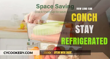 Refrigerating Conch: Optimal Storage Time and Freshness Tips