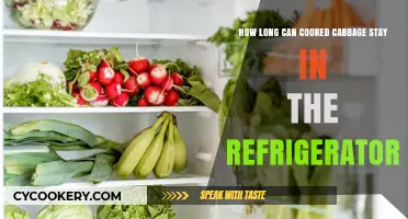 Cooked Cabbage Storage: How Long Does It Last in the Fridge?