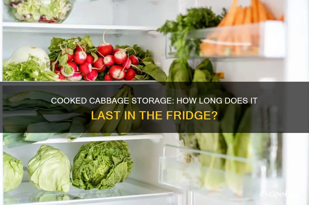 how long can cooked cabbage stay in the refrigerator