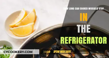 Refrigerated Cooked Mussels: Safe Storage Time and Tips