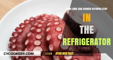 Refrigerated Cooked Octopus: Safe Storage Duration and Freshness Tips