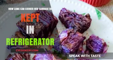 Storing Cooked Red Cabbage: Optimal Refrigerator Shelf Life Explained