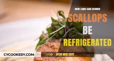 Refrigerating Cooked Scallops: Safe Storage Time and Tips